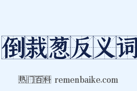 倒栽葱反义词是什么意思的图片